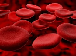 Норма лейкоцитов в крови у женщин и мужчин